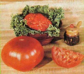 New Seeds for the '83 Gardening Season Image